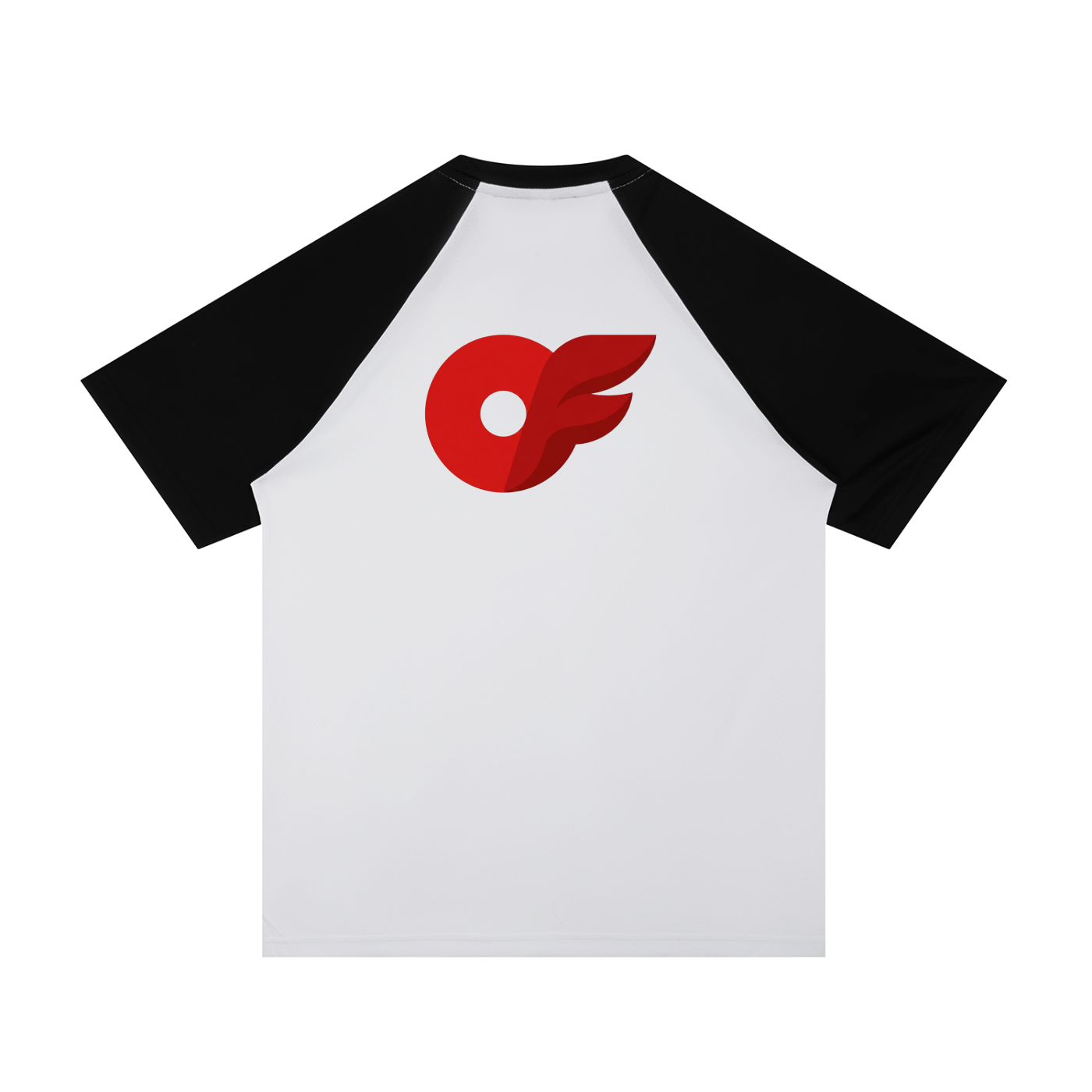 Contrast Raglan Sleeve Mesh T-Shirt