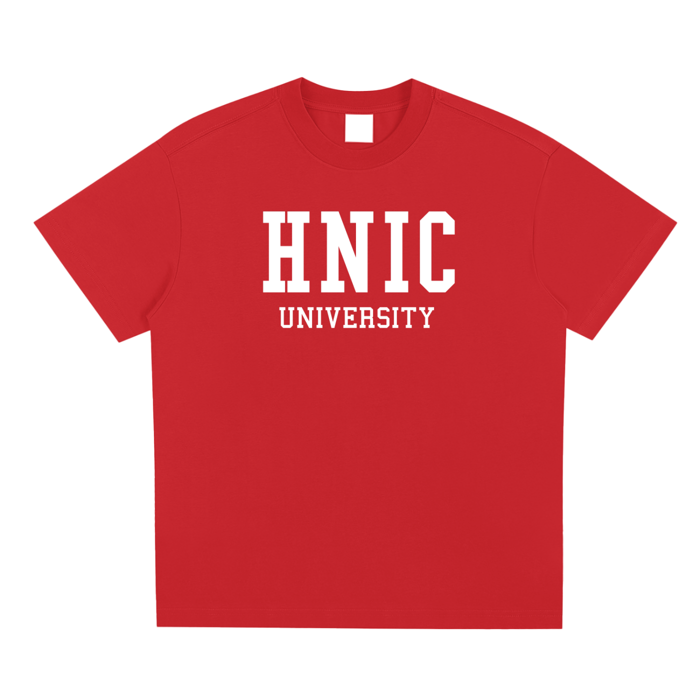 Head Nigga in Charge University T - Shirt