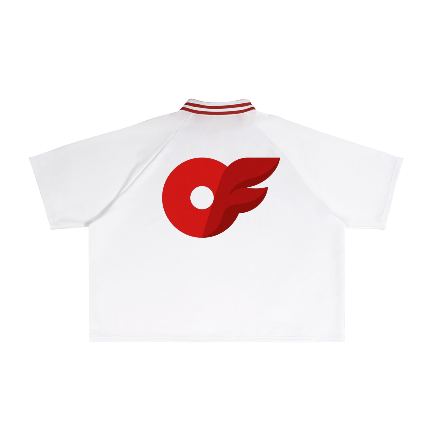 Contrast Lapel Collar Boxy T-Shirt