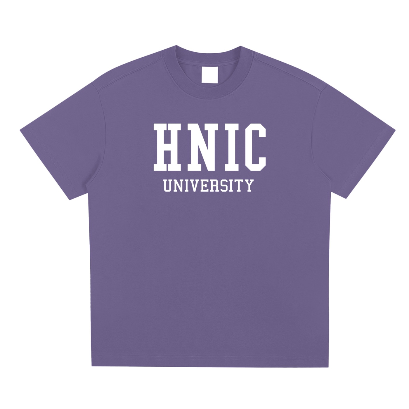Head Nigga in Charge University T - Shirt